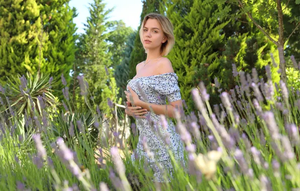 Wallpaper Field Nature Short Hair Model Countryside Gorgeous