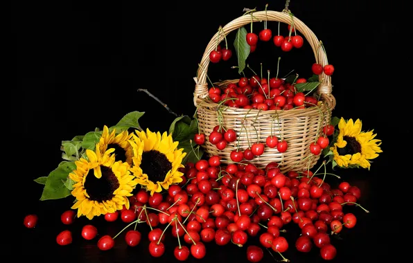 Flowers, cherry, berries, sunflower, petals, still life, basket, cherry