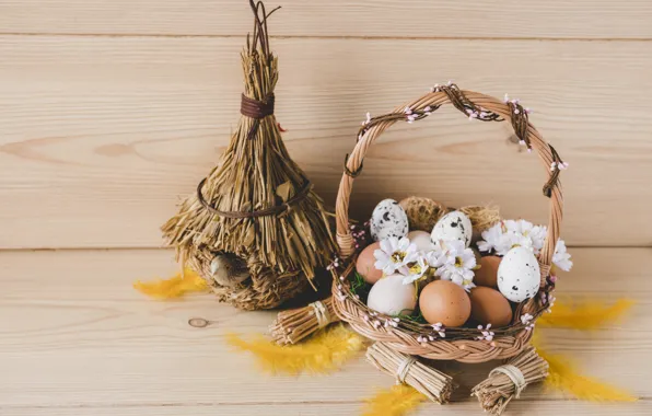 Easter, Eggs, Holiday, Socket