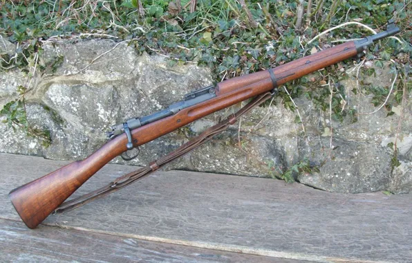 Weapons, background, rifle, Springfield, store, M1903