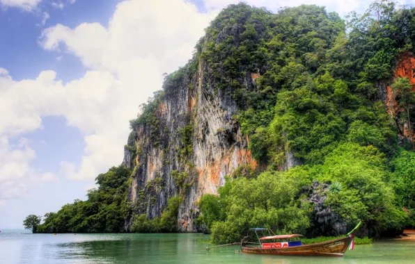 Sea, the sky, clouds, trees, tropics, stones, rocks, shore