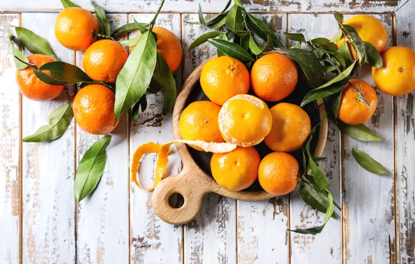 Leaves, citrus, Mandarin