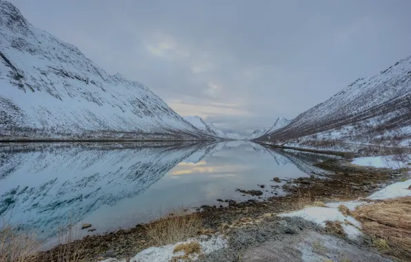 Snow, clouds, lake, reflection, gray