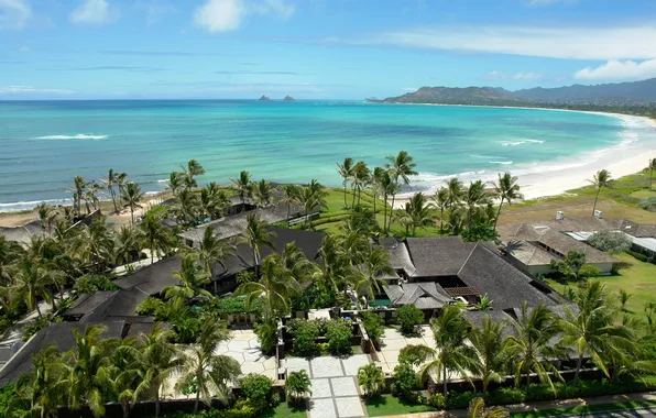 Sea, landscape, palm trees, shore, view, the hotel, the area