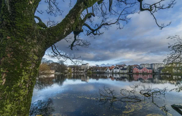 Norway, Stavanger, Rogaland, lake Breiavatnet