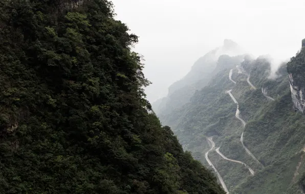 Road, forest, clouds, trees, mountains, fog, China, serpentine