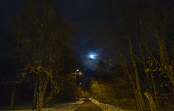 Autumn, the sky, clouds, snow, trees, night, the moon, lights