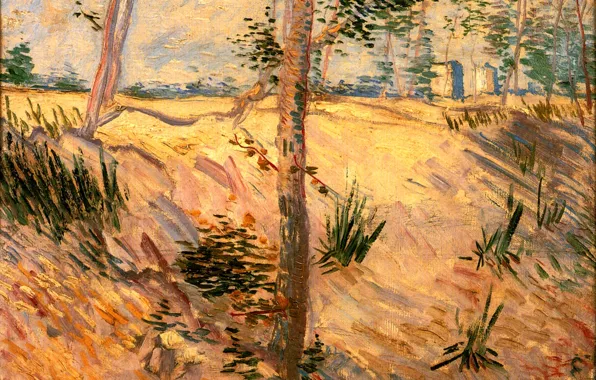 Vincent van Gogh, Trees in a Field, on a Sunny Day
