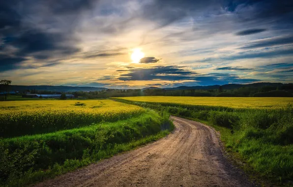 Road, field, the sky, the sun