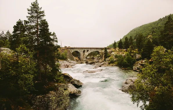 Picture river, bridge, fog, hill, stones, pine, rainy