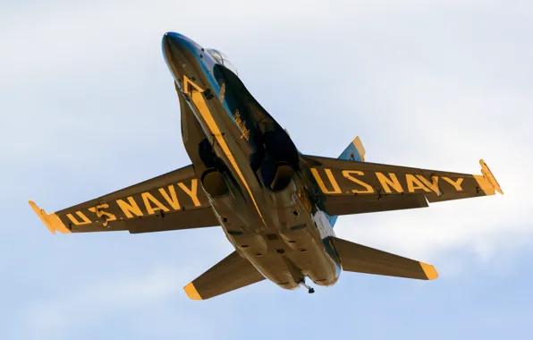 F/A-18C, Hornet, blue angels, The Blue Angels