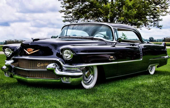 The sky, tree, Cadillac, Coupe, the front, Cadillac, 1956, Sixty-Two