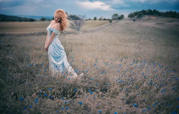 Field, girl, flowers, mood, dress, meadow, red, redhead