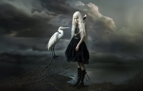 Look, birds, branches, clouds, shore, boots, fantasy, girl