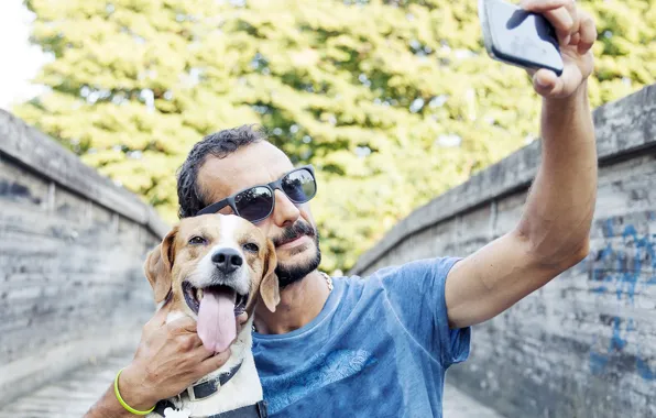 Language, face, dog, glasses, t-shirt, male, collar, Retriever