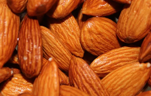 Walnut, nuts, brown, Almonds