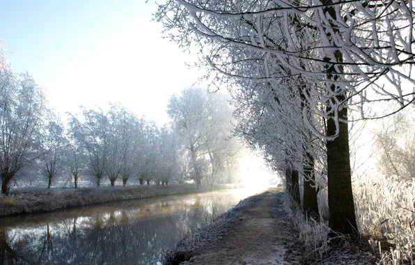 Picture winter, frost, trees, river