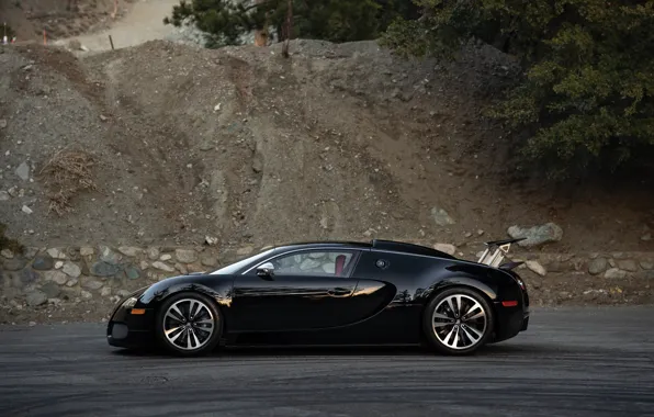 Bugatti, Veyron, Bugatti Veyron, 16.4, side view, Black Blood