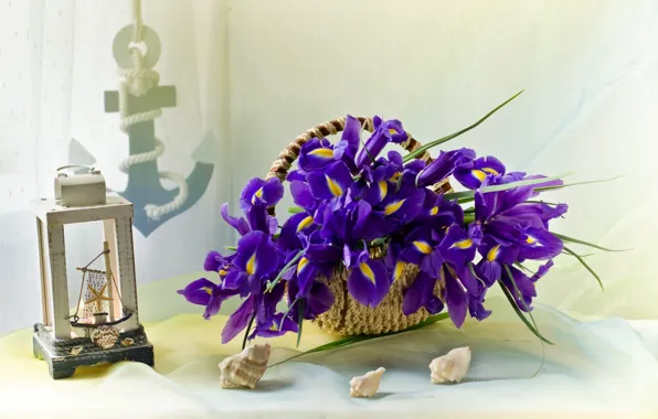 Shell, basket, irises, anchor