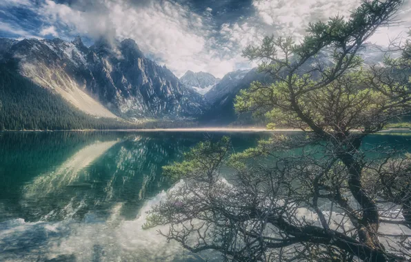 Trees, mountains, lake, reflection