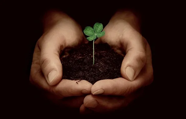 Nature, life, people, hands