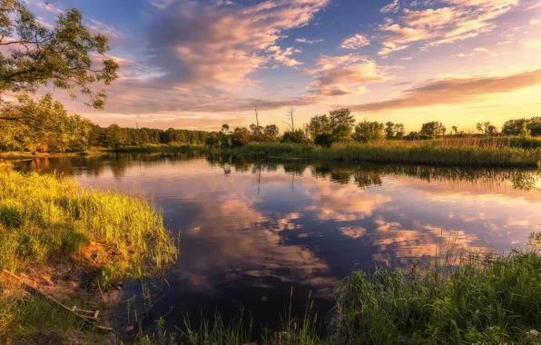 Picture summer, the sky, sunset, nature, river, Aleksei Malygin