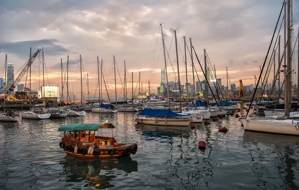 Picture dawn, boats, morning, harbour, Hong Kong, Hong Kong