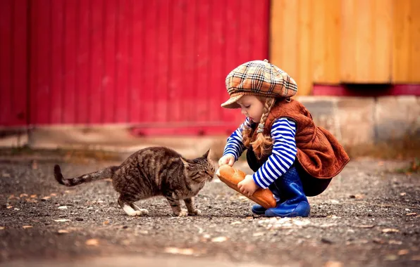 Picture cat, cat, girl