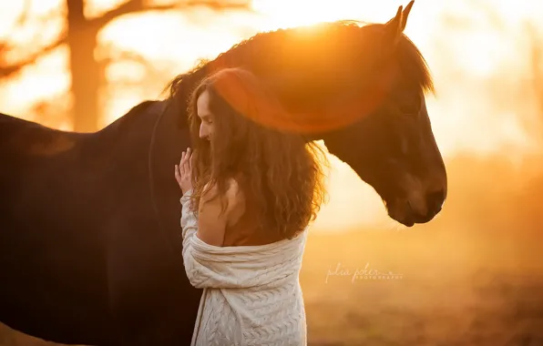 Picture girl, light, horse