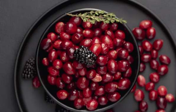 Berries, bowl, cranberry