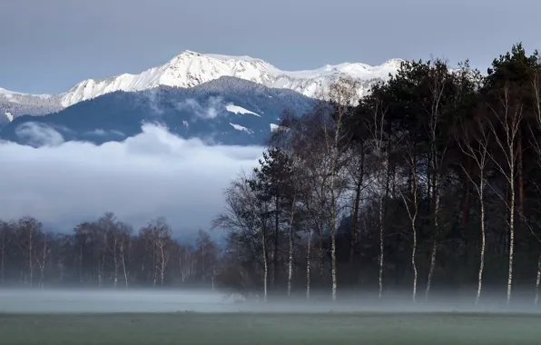 Picture mountains, fog, blue hour, Lichtenstein