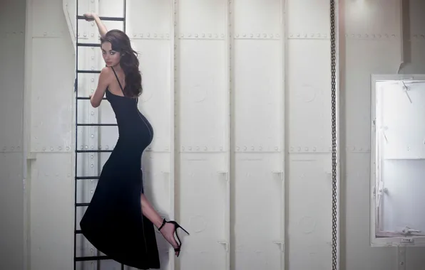 Pose, makeup, figure, dress, brunette, hairstyle, ladder, shoes