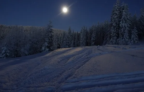 Winter, forest, the sky, snow, trees, landscape, night, nature