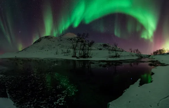 Water, stars, snow, trees, night, green, Northern lights, Aurora Borealis