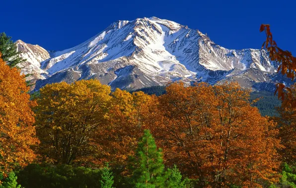 Autumn, forest, mountains, CA, USA