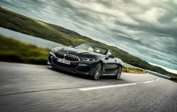 Picture road, markup, BMW, convertible, xDrive, G14, 8-series, 2019