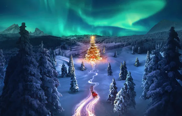 Picture Christmas, Christmas tree, Aurora sky, Snowy Trees, Celebrations, Aesthetic Christmas, Winter Road, Santa Claus chariot