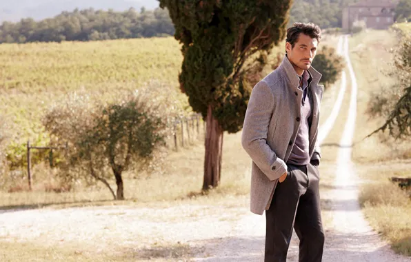 Picture road, field, trees, nature, model, male, David Gandy, David Gandy