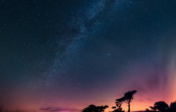 Picture space, stars, trees, night, the milky way