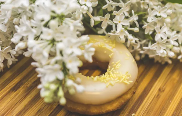 Donuts, still life, lilac, glaze