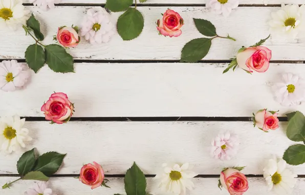 Picture flowers, roses, rose, buds, flower, wood, decor
