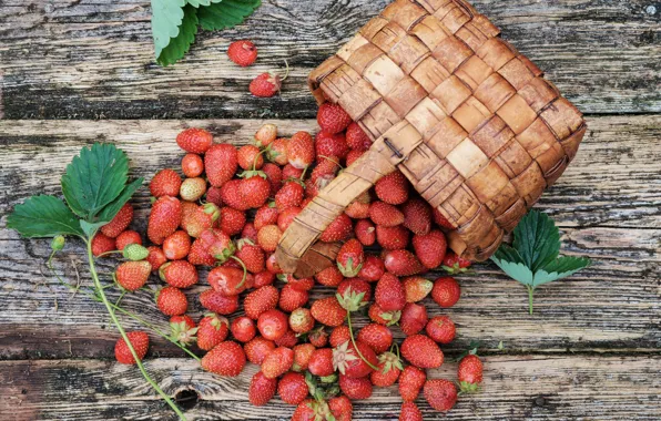 Berries, basket, strawberries