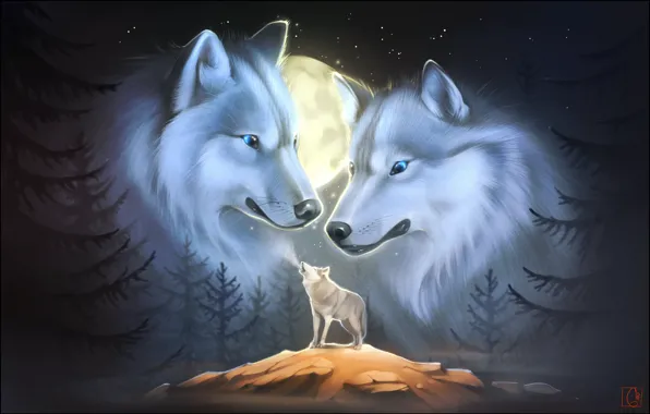 Animals, night, art, wolves, howl