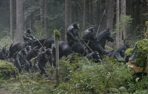 Horse, monkey, Planet of the apes: the Revolution, Dawn of the Planet of the Apes