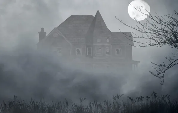 Grass, fog, house, tree, the moon, the darkness, Windows, broken