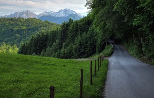 Road, greens, field, forest, grass, trees, mountains, nature