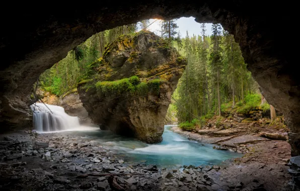 Picture forest, mountains, river, cave