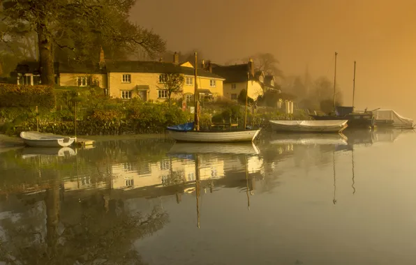 Water, trees, fog, reflection, river, shore, England, home