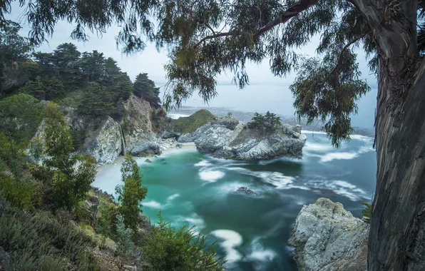 Picture sea, beach, tree, rocks, waterfall