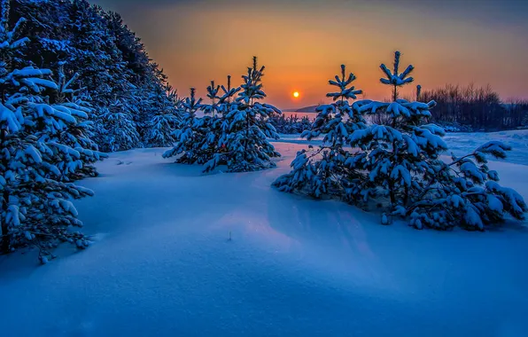 The sun, snow, trees, treatment